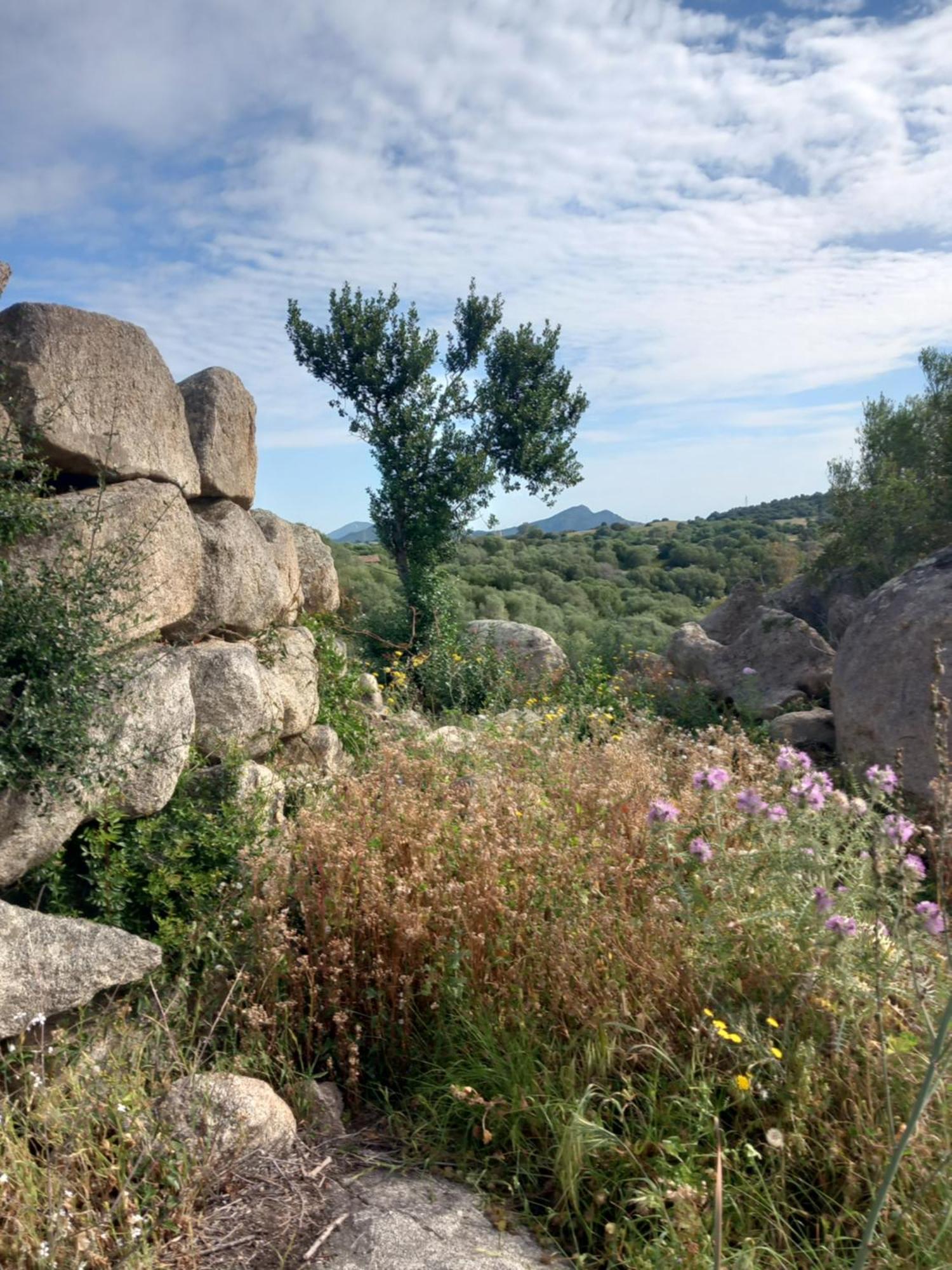 Beth La Casa Della Luna Annunziata (Sardinia) Exterior foto